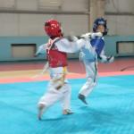     С 3 по 5 сентября в УСК НИУ БелГУ  С. Хоркиной г. Белгорода проводились чемпионат и первенство Белгородской области по тхэквондо ВТФ.